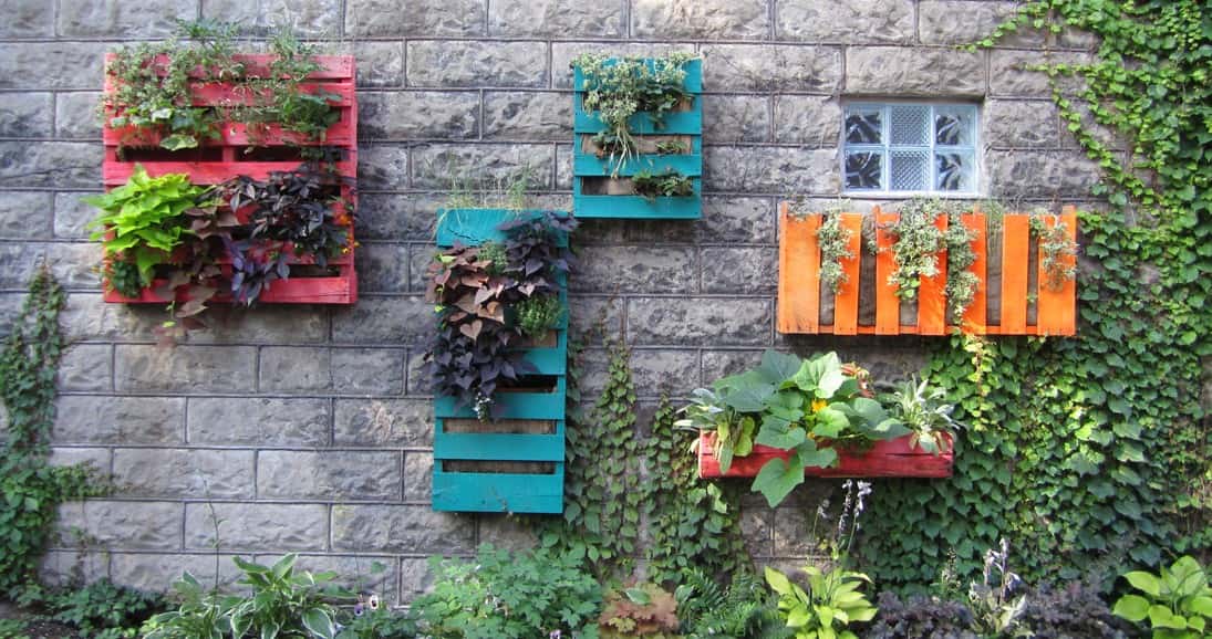 Cómo hacer un jardín vertical con palets