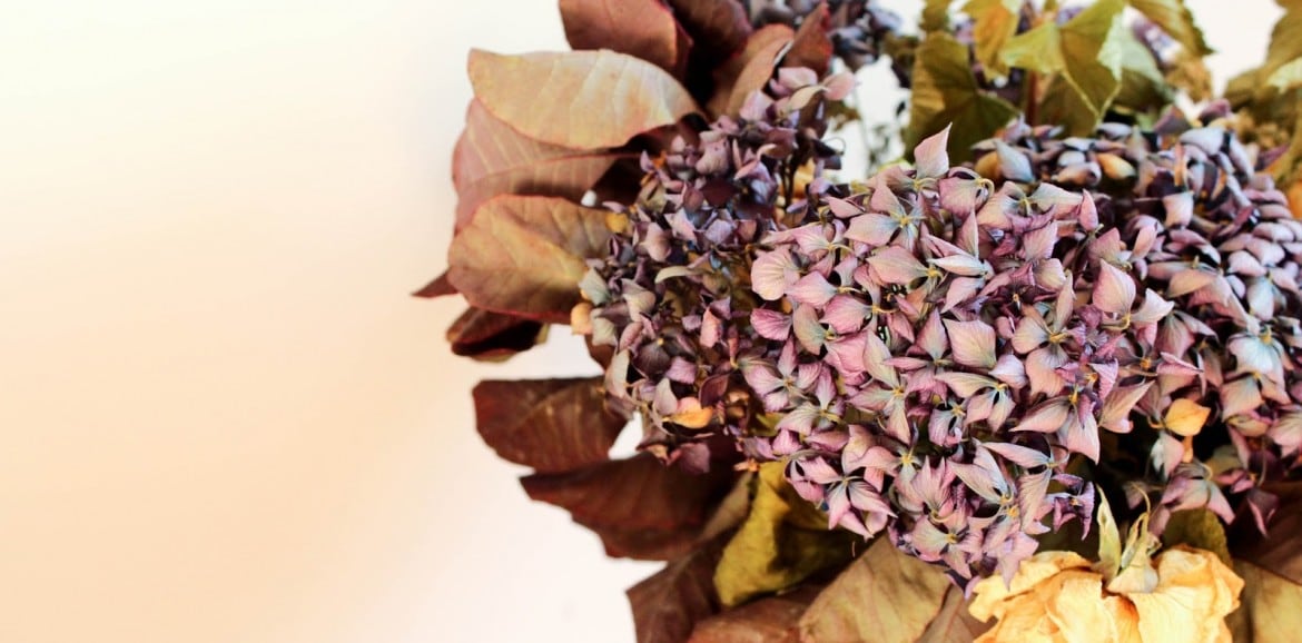 Secar flores frescas para decorar tu hogar