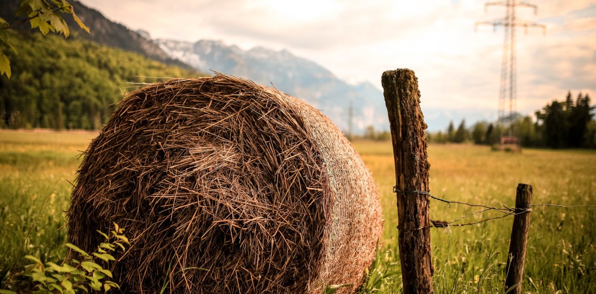Las ventajas de vivir en el campo que incrementan las mudanzas a la España rural
